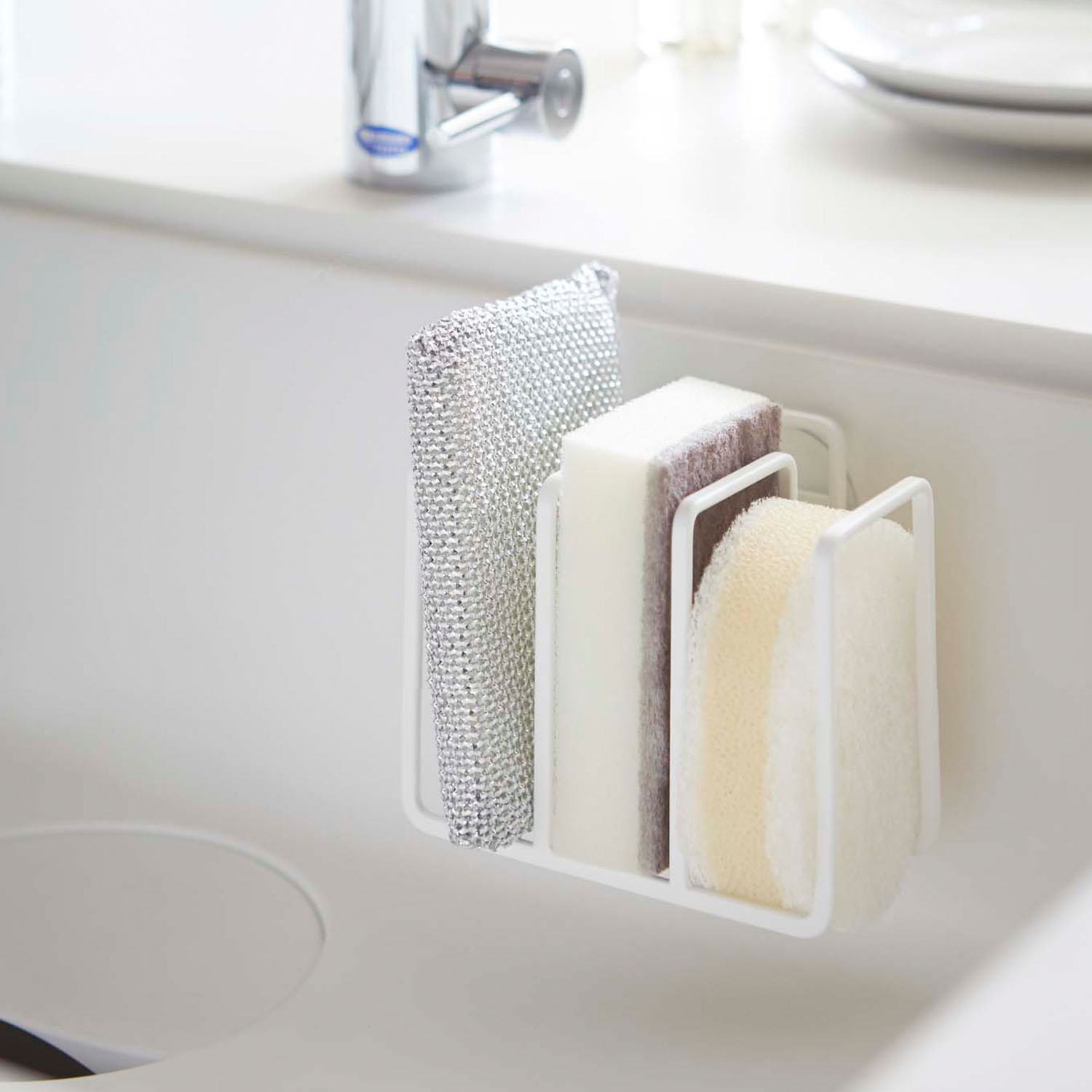 Plate Sponge Holder