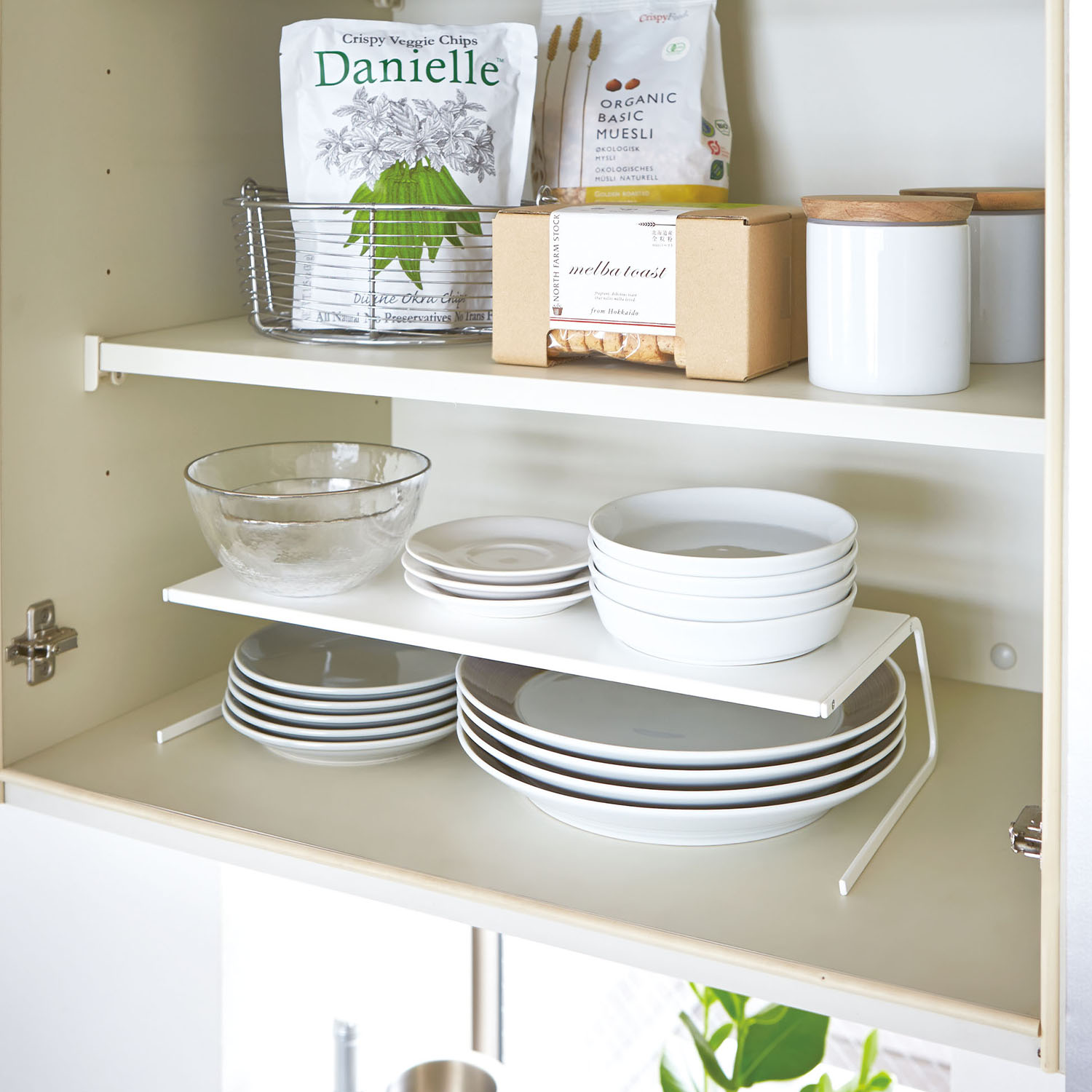 Plate Dish Storage L