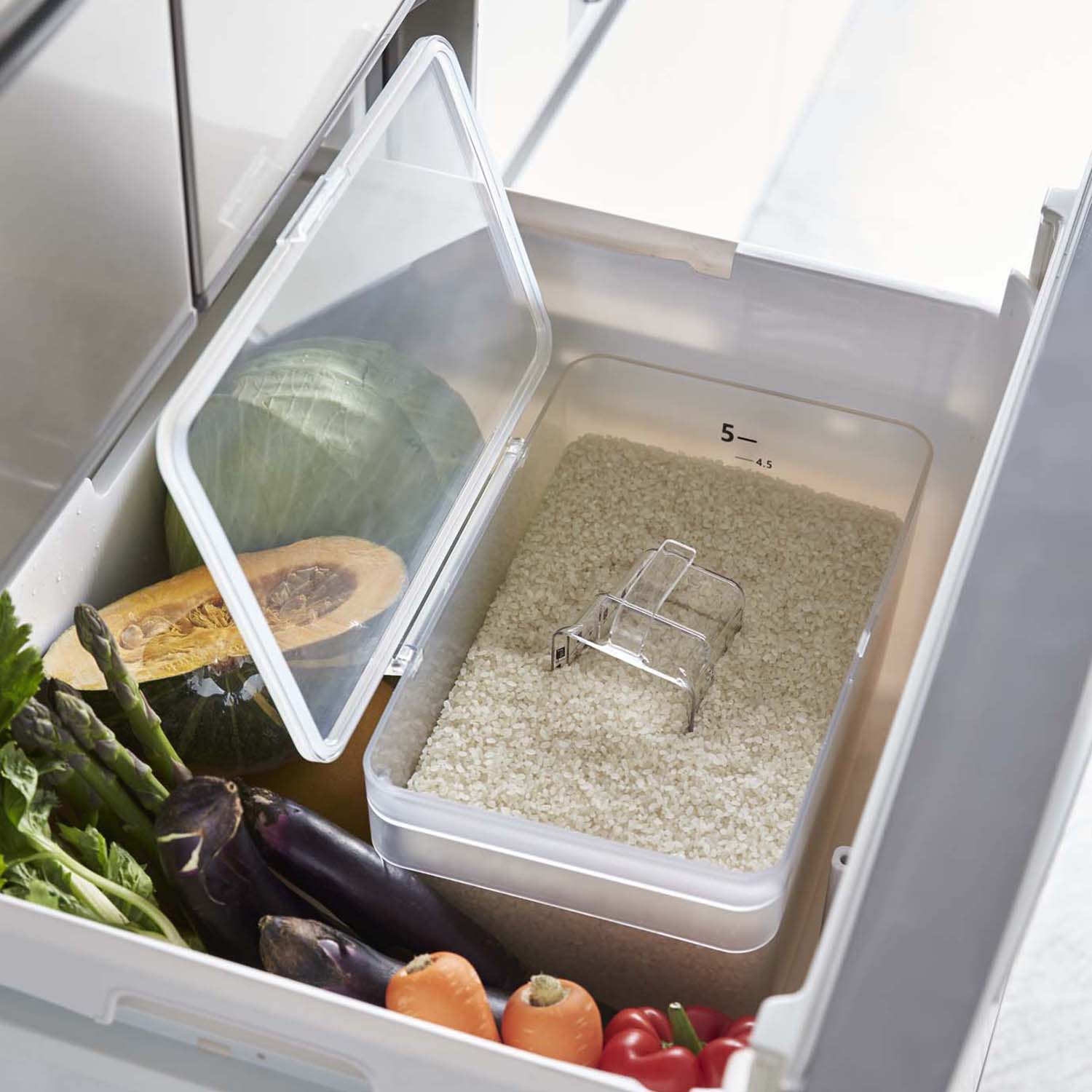 Plate Rice Stocker