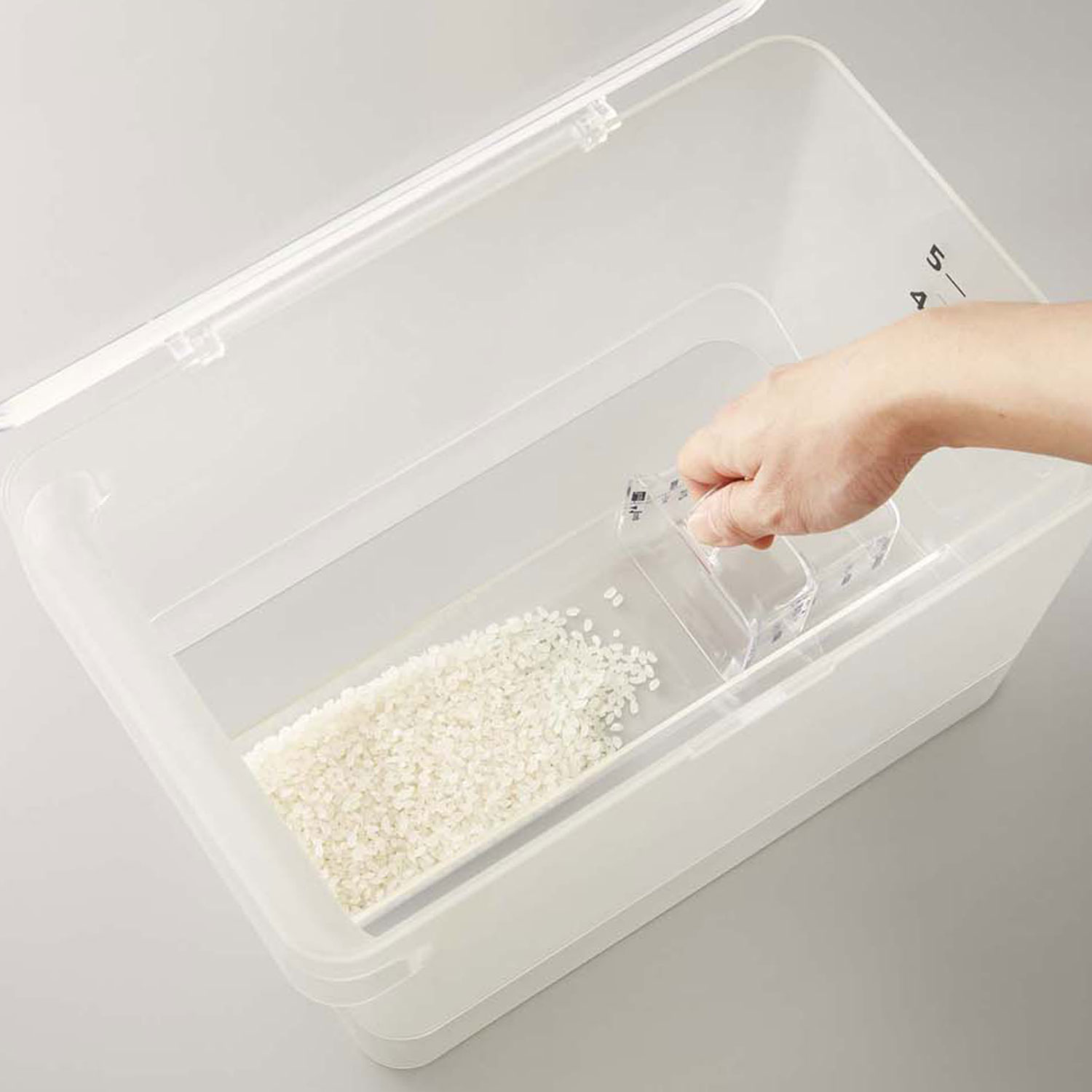 Plate Rice Stocker
