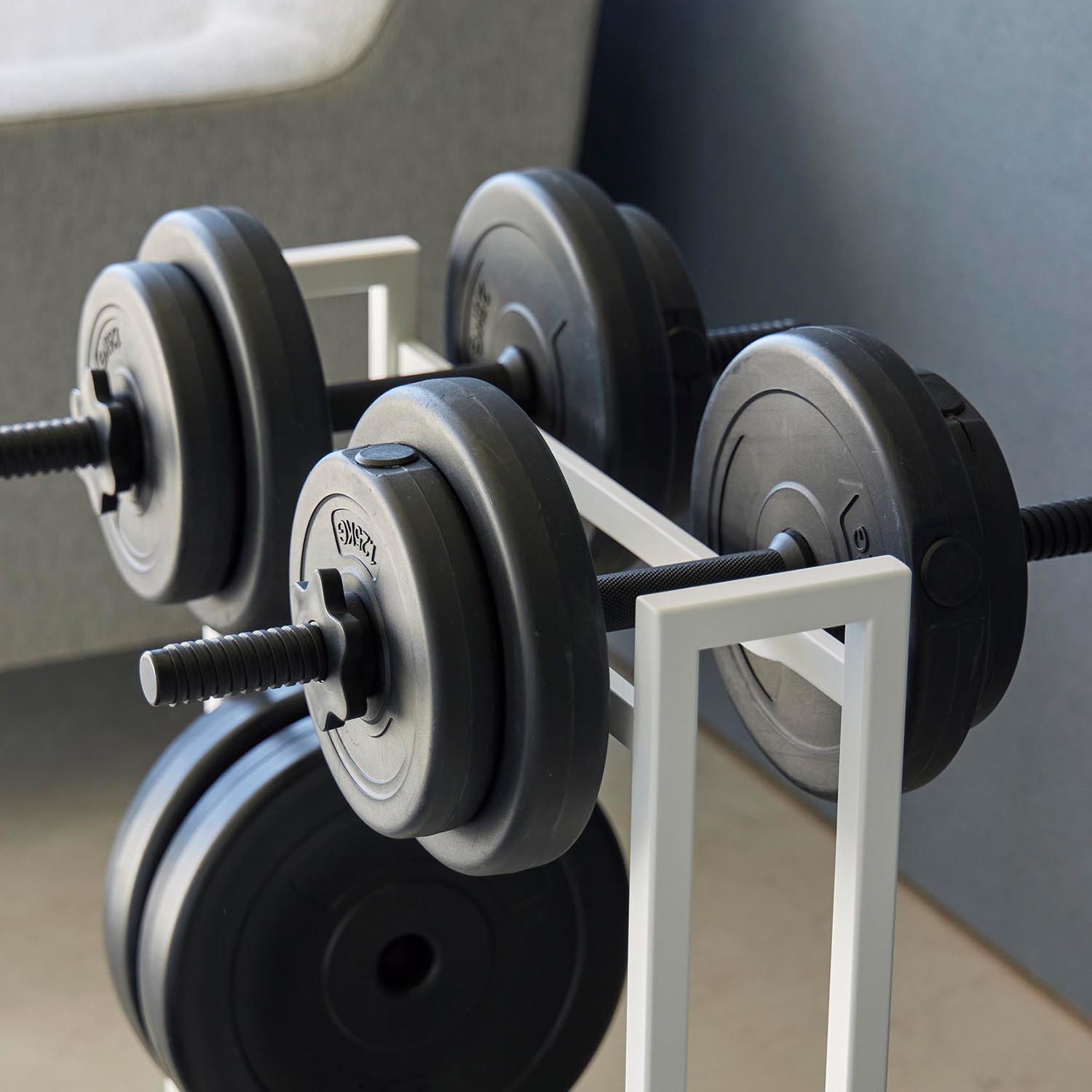 Tower Dumbell Rack