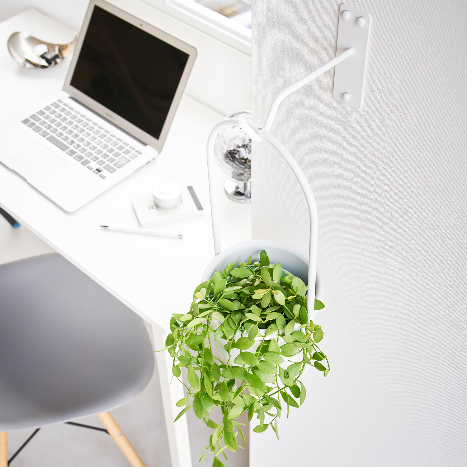Tower Wall-Mounted Plant Hanger, Drywall Compatible?